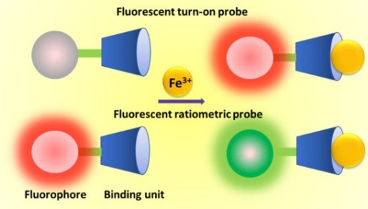 fluorecent probe