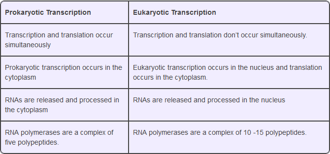 تفاوت RNA پلیمرازهای پروکاریوتی و یوکاریوتی